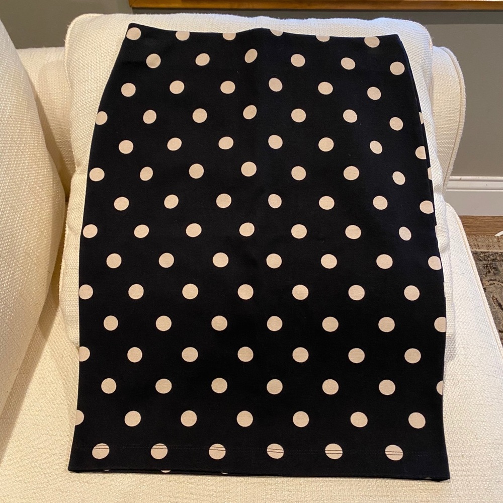 Ann Taylor Pencil Skirt